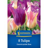 Kvetinová žiarovka Tulipán Coutryside Duo Kiepenkerl 8 ks