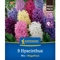 Kvetinové cibuľky Hyacint Mix Megapack Kiepenkerl 9 ks