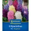 Kvetinové cibuľky Hyacint Mix Megapack Kiepenkerl 9 ks