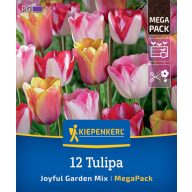   Cibuľka Tulipán Radostná záhrada Mix Megapack Kiepenkerl 12 ks