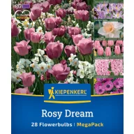 Zmes kvetinových cibuliek Rosy Dream Mix Kiepenkerl 28 ks
