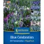 Zmes kvetinových cibuliek Blue Celebration Kiepenkerl 50 ks