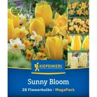   Mix cibuľovín (tulipán-narcis-krokus-hyacint) Sunny Bloom Kiepenkerl 28 ks