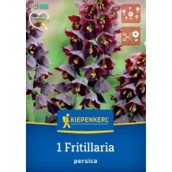   Kvetinová cibuľka Perzská cisárska koruna (Fritillaria persica) Kiepenkerl 1 ks