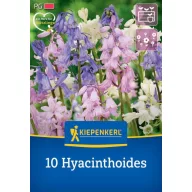  Cibuľky španielskeho modrého zvončeka mix (Hyacintoides) Kiepenkerl 10 ks