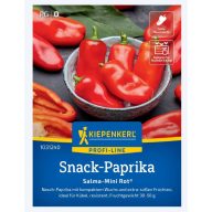 Paprika snack Salma®-Mini Red, F1 Kiepenkerl cca. 5 semien