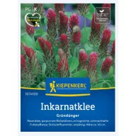   Ďatelina purpurová (Trifolium inc.)-zelené hnojivo a včelár pre 25 m2 Kiepenkerl