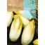 Endívia Mechelse Middelvroeg Rocalba 10 g