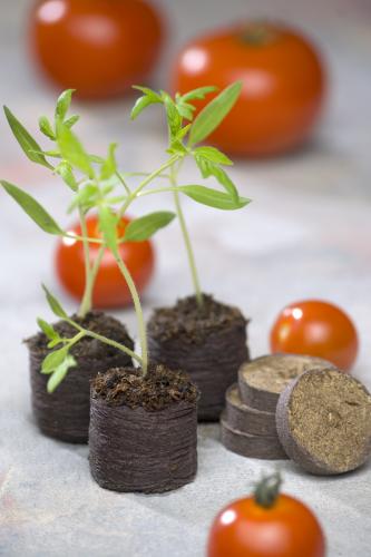 Rašelinové diskyk Jiffy (48 ks)