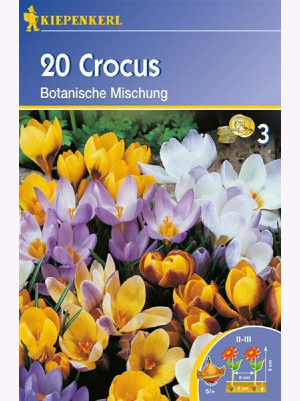 Krókusz hagyma botanikai, Kiepenkerl Mix 20 db