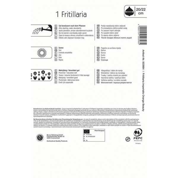 Kvetinová cibuľka Fritillaria (cisárska koruna) Ornage beauty Kiepenkerl 1 ks