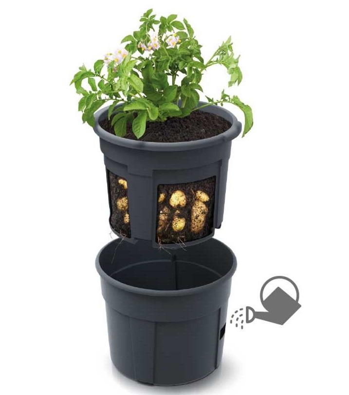 Potato planting pot 30 cm