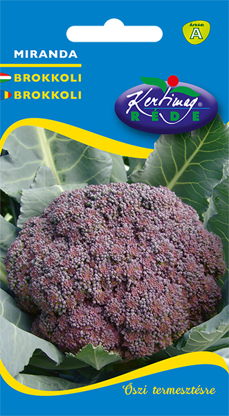 Brokolica fialová 2g
