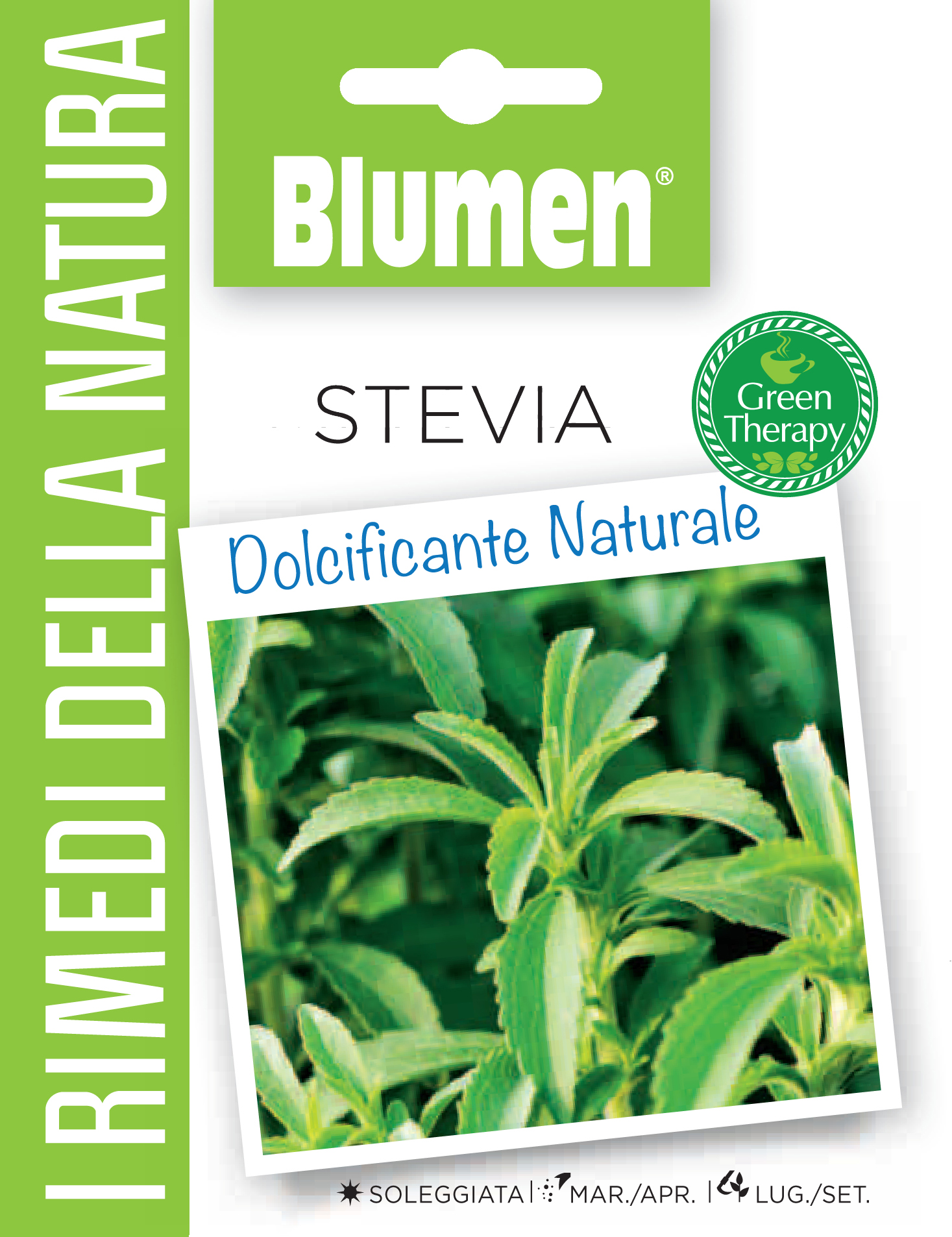 Stevia vetőmag Wellnes from nature