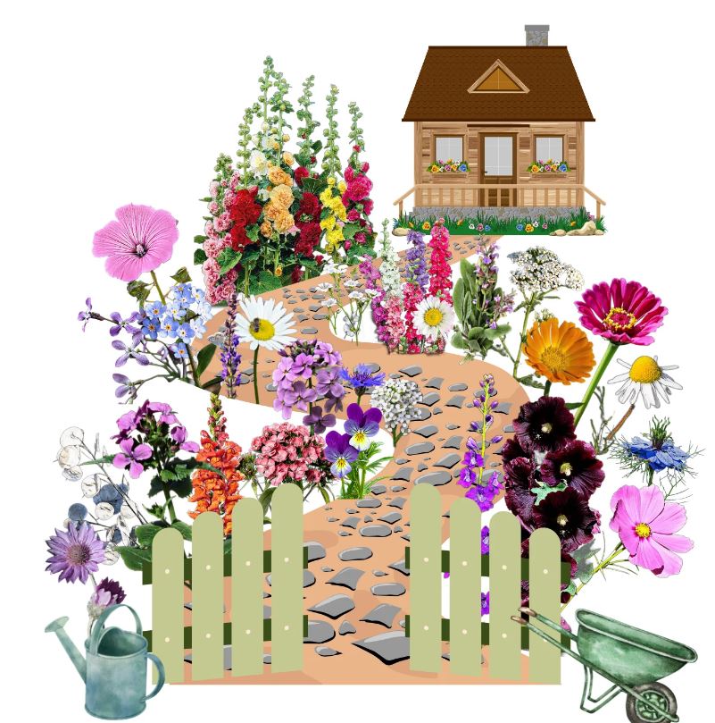 Vadvirágom őshonos magyar virágmag keverék Mama kertje 5g