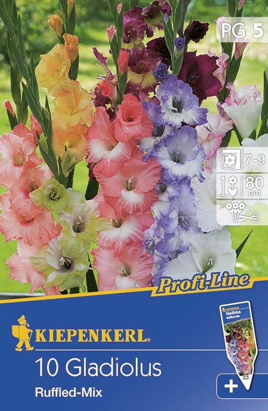 Cibule kvetov Kiepenkerl Mečík Ruffled Mix 5 ks