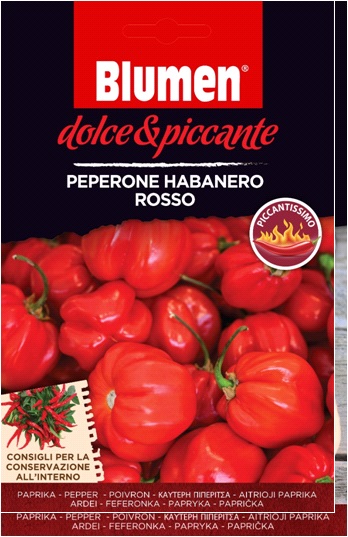 Piros habanero paprika – extrém csípős Blumen  (kb. 10-20 szem)