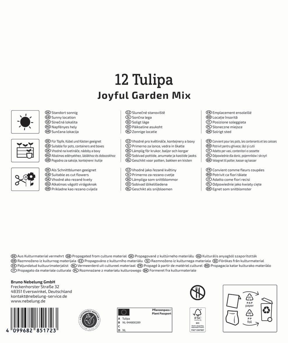 Virághagyma Tulipán Joyful Garden Mix Megapack Kiepenkerl 12 db