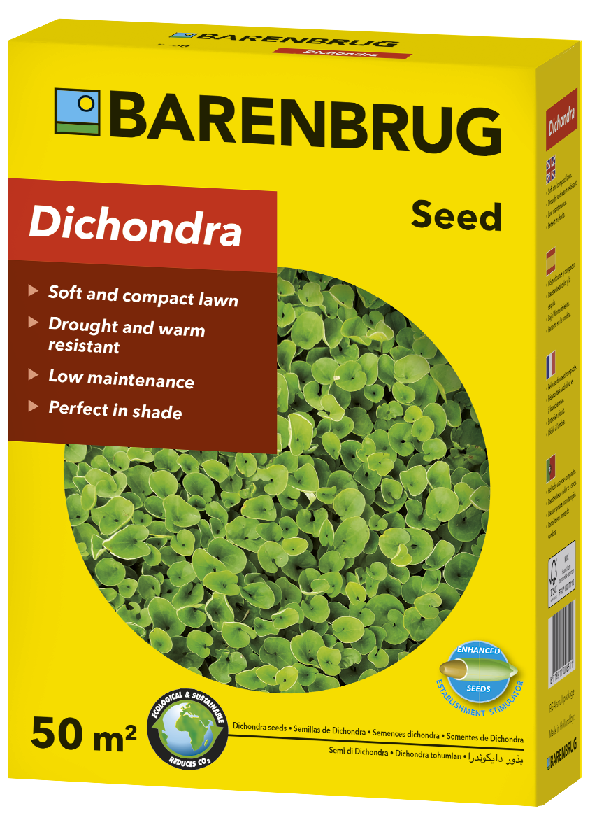 Talajtakaró zöld szőnyeg-Dichondra repens Barenbrug 500 g