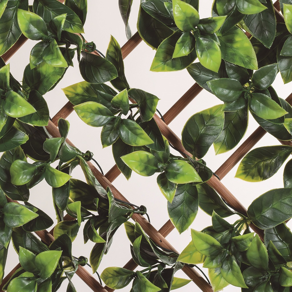 Bambusová mriežka s ozdobnými listami TRELLIBAMBU BUXUS zeleno-hnedá 1 x 2 m