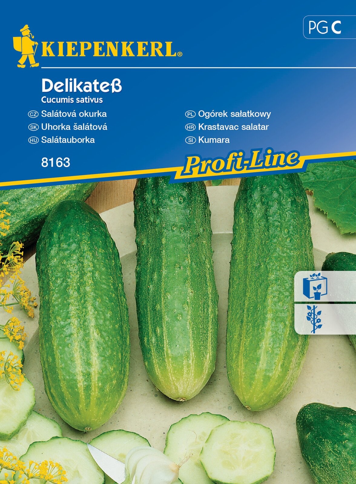 Cucumber (salad and garnish) Delikates 60 grains Kiepenkerl