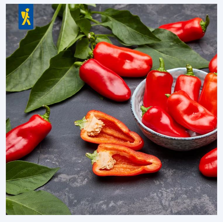 Paprika-snack Salma®-Mini Rot, F1 Kiepenkerl  ca. 5 db mag