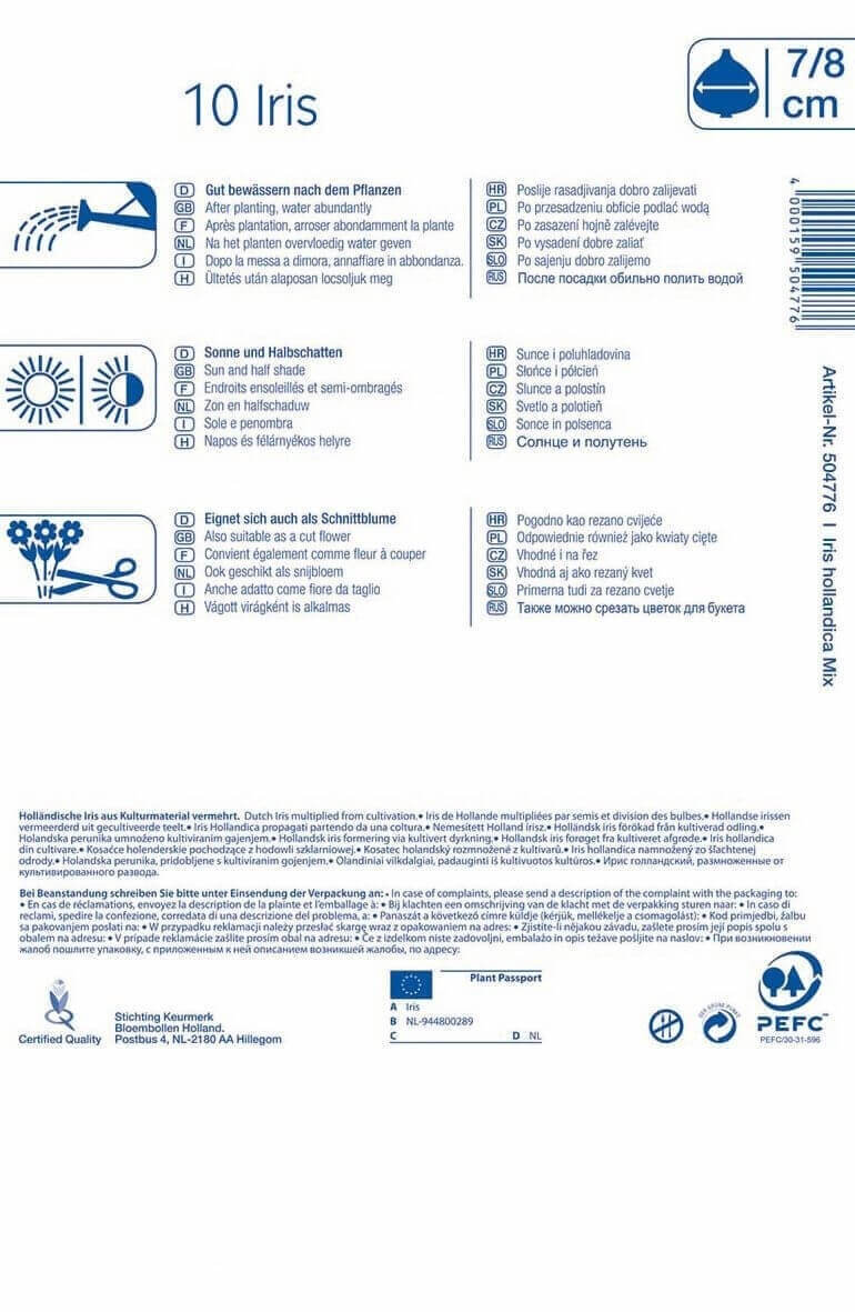 Bulb Iris hollandica colour mix 10 pcs Kiepenkerl