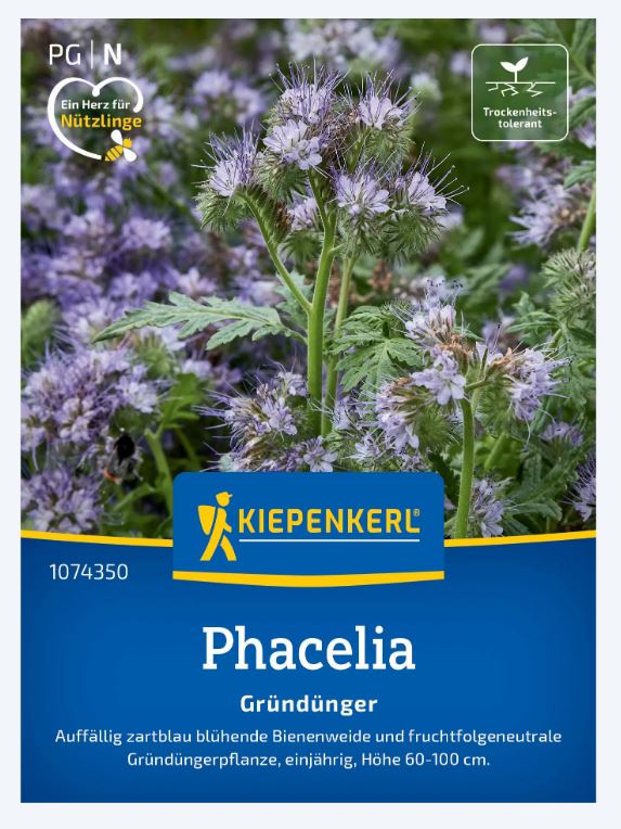 Mézontófű (Phacelia tan.)-Zöldtrágya és méhlegelő 25 m2-re Kiepenkerl