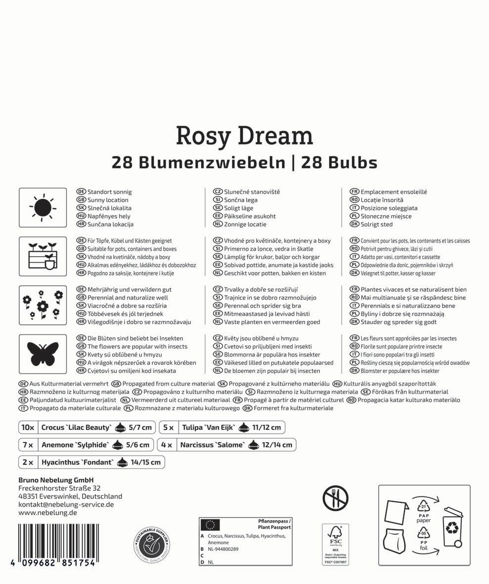 Virághagyma keverék Rosy Dream Mix Kiepenkerl 28 db