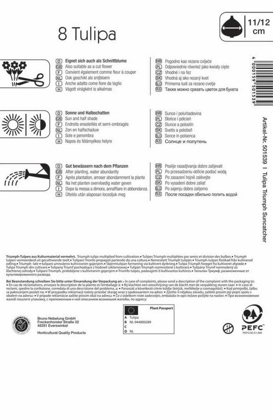 Flower bulb Tulip Suncatcher 8 pcs Kiepenkerl