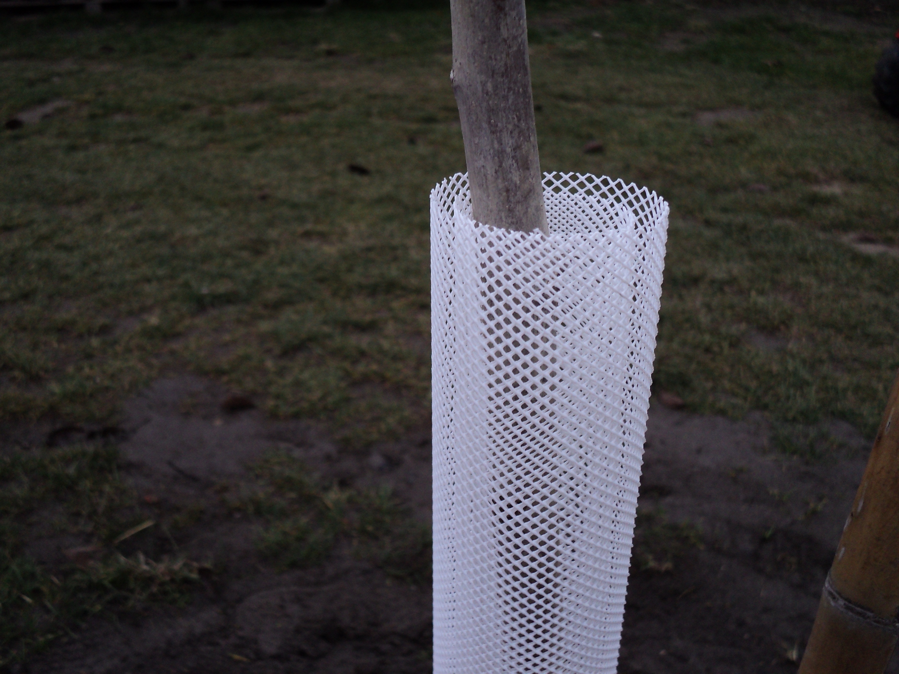 Ochranná mriežka pre stromčeky biela 110 cm