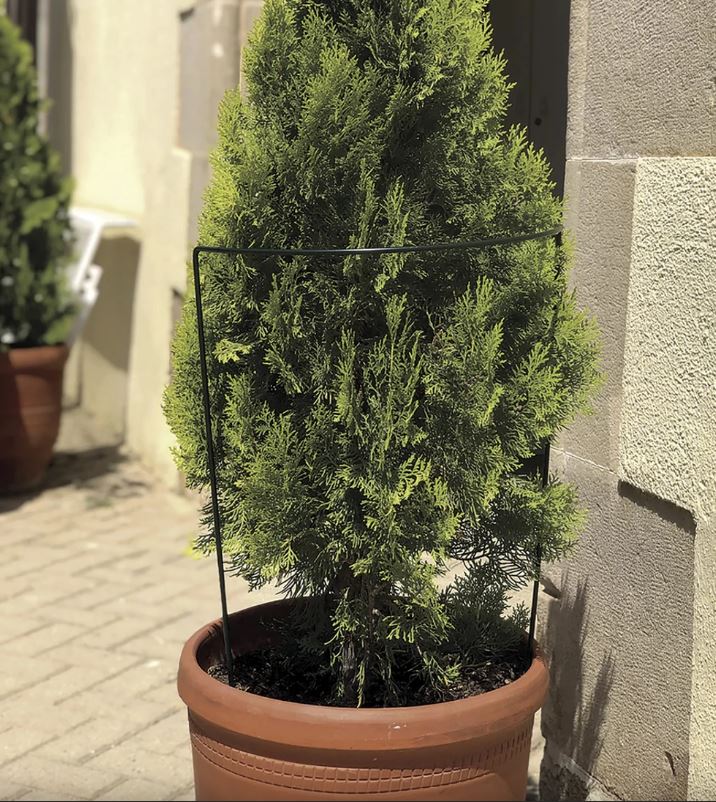 Félkör alakú növénytámasz CHELSEA 30x60cm