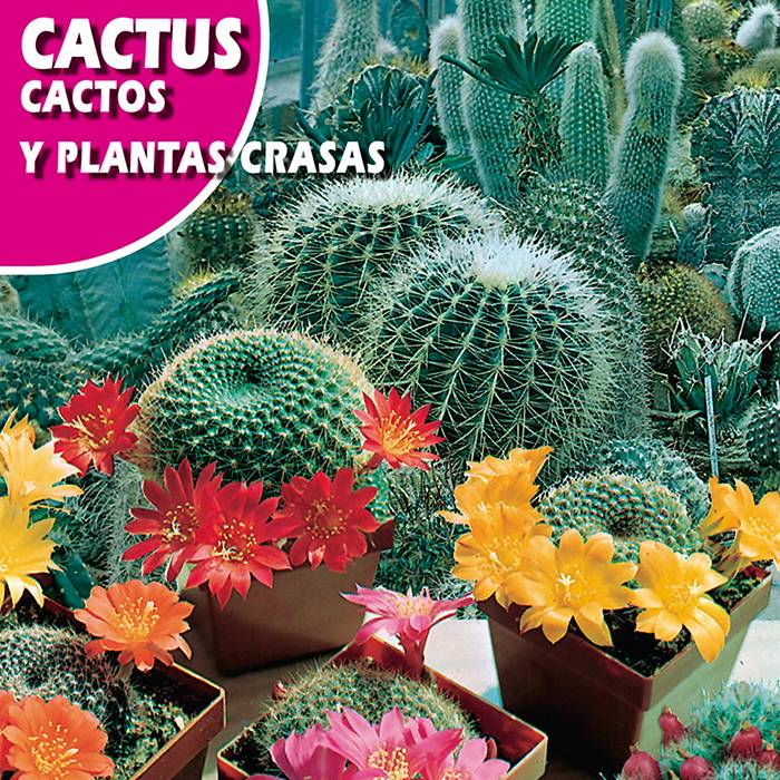 Kaktus Mix (Cactos y Plantas crasas) 0,5g