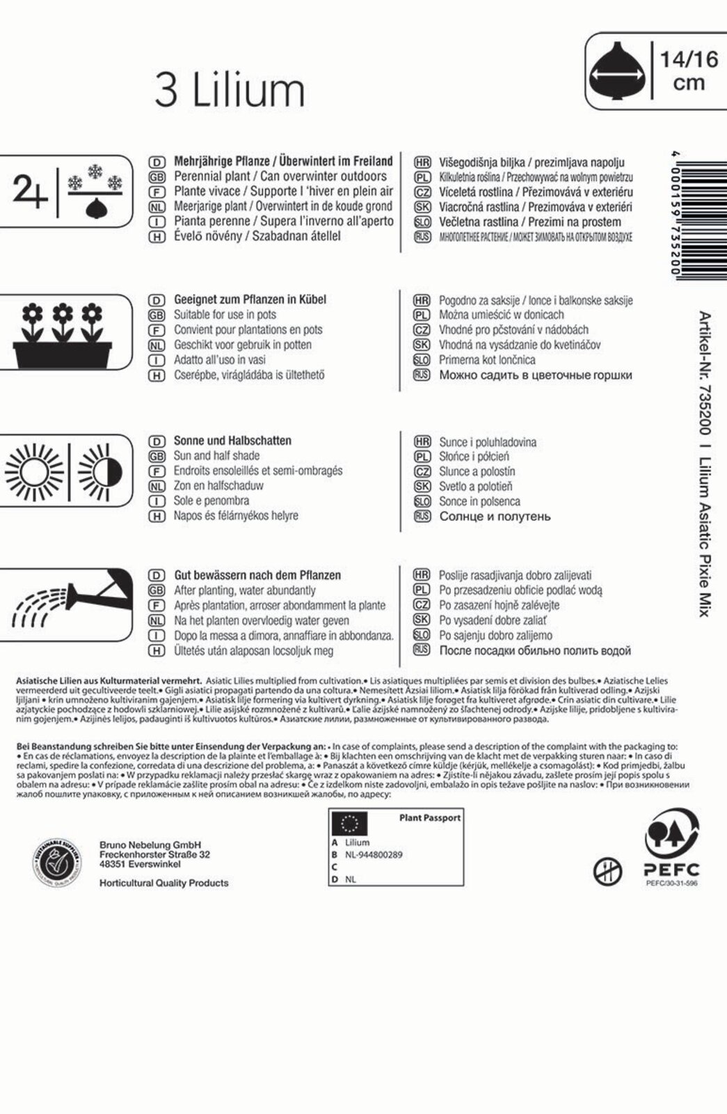 Žiarovka Lily mix farieb Pixie Mix Kiepenkerl 3 ks