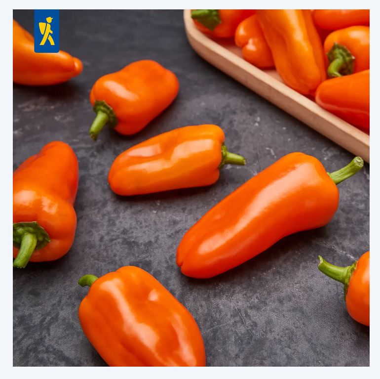 Paprika-snack Salma®-Mini Orange, F1 Kiepenkerl ca. 5 db mag