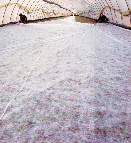 Závojová fólia 2x20 m 19 gr/m2