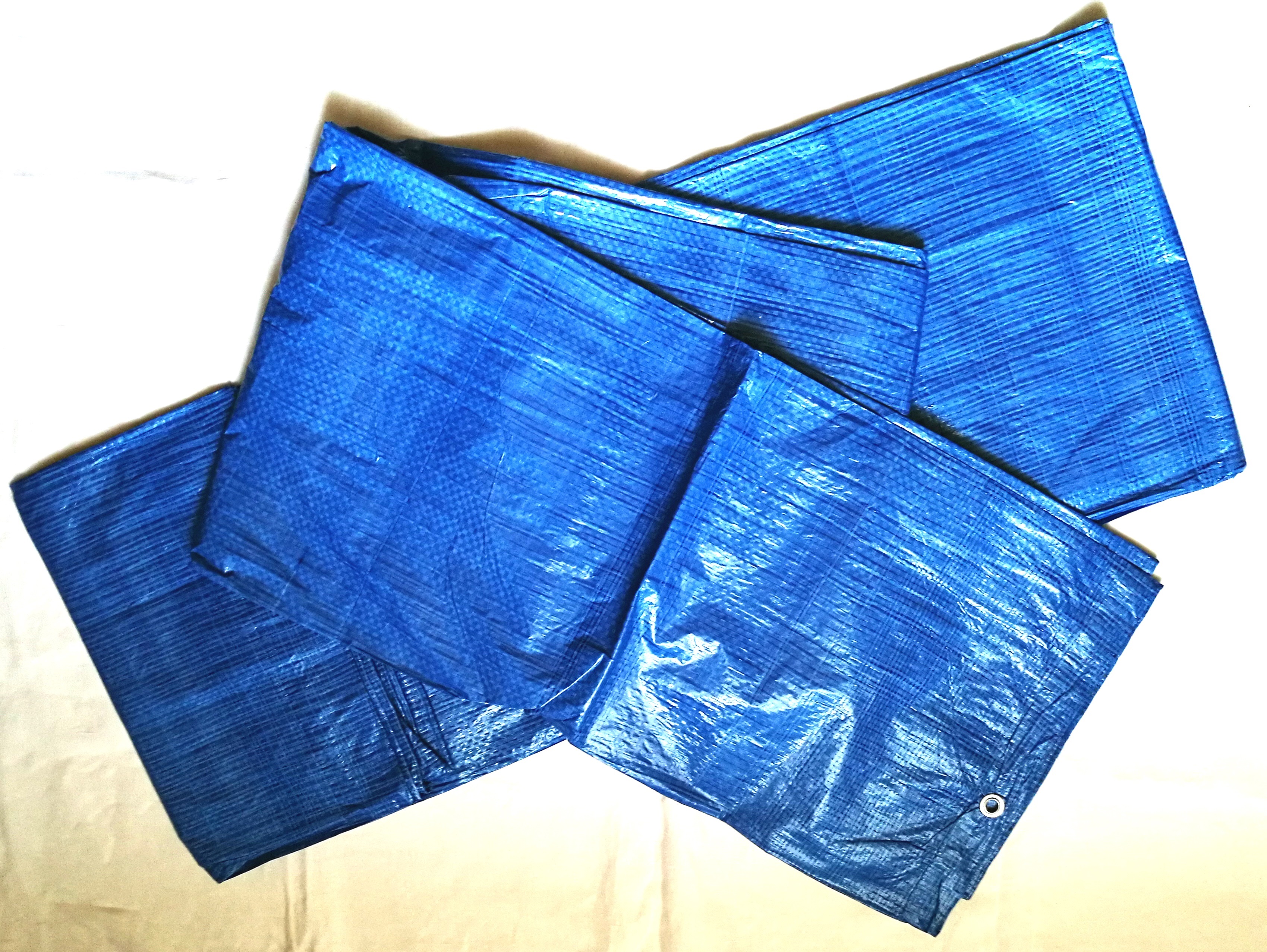 Zakrývacia plachta 50g/m2 6m x 10m  (modrá)