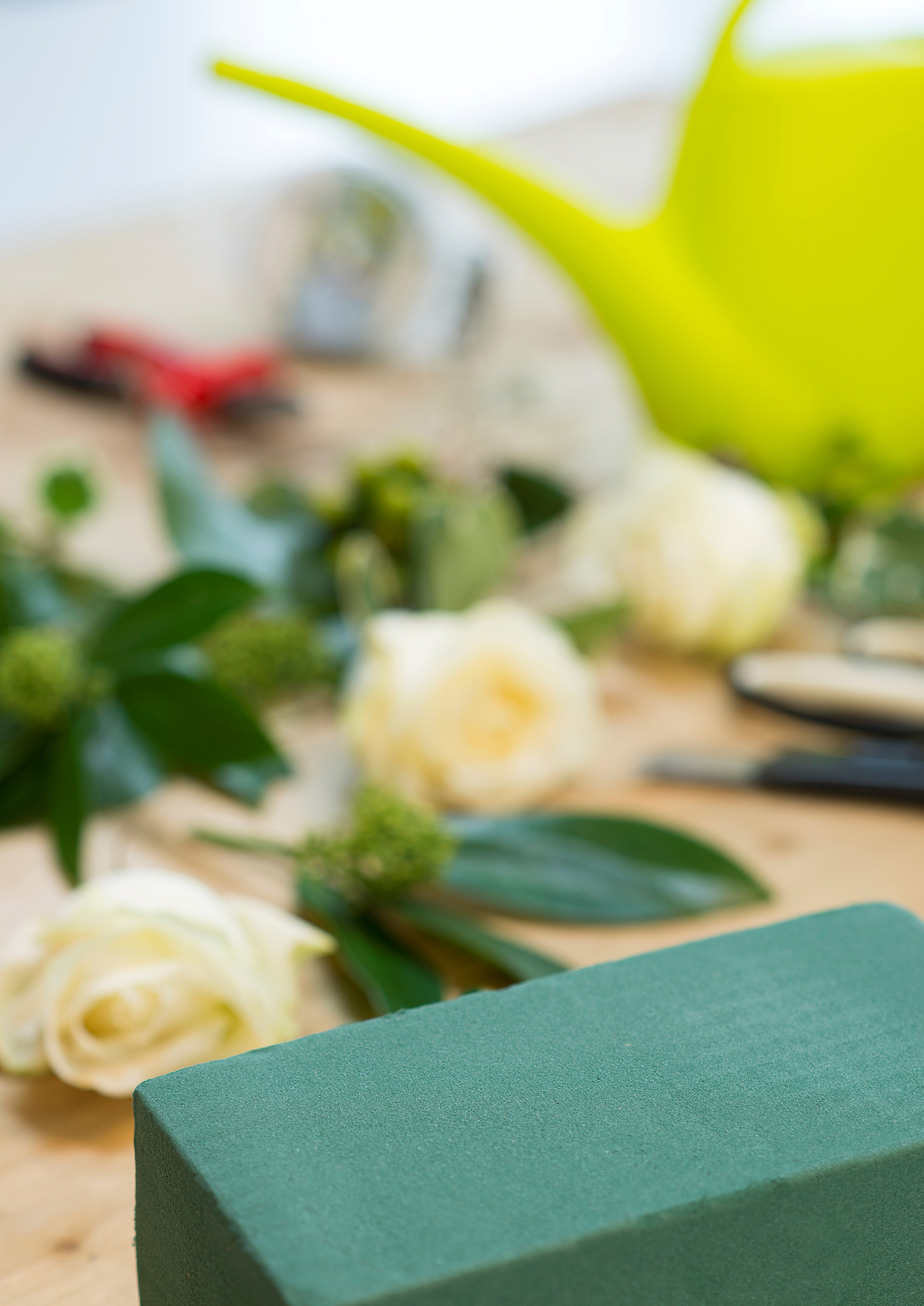 Špongia, dekoračný základ pre zelené rastliny  7,5X20X10cm