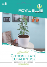 Lemon flavoured eucalyptus 10 seeds Royal Sluis