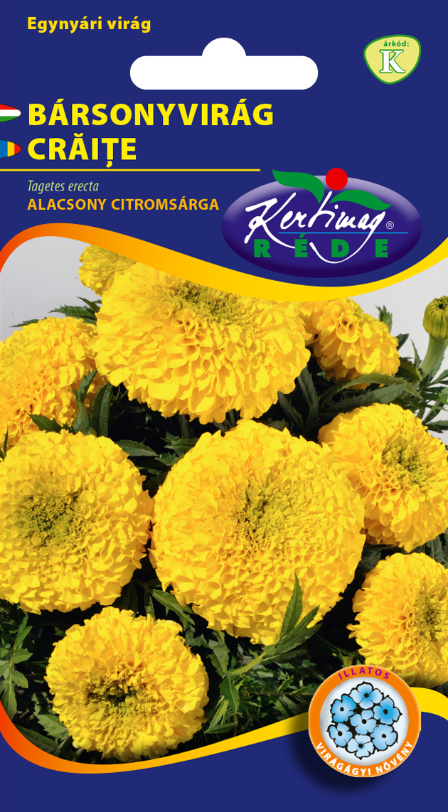 Aksamietnica nízka veľkokvetá (citrón) 1g