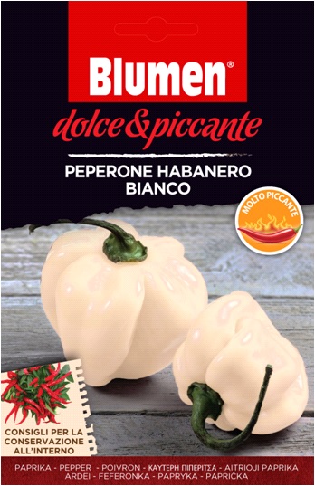 Fehér habanero paprika Blumen – extrém csípős Blumen (kb. 10-20 szem)