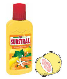 Substral tápoldat citrusfélék számára 0,25 l