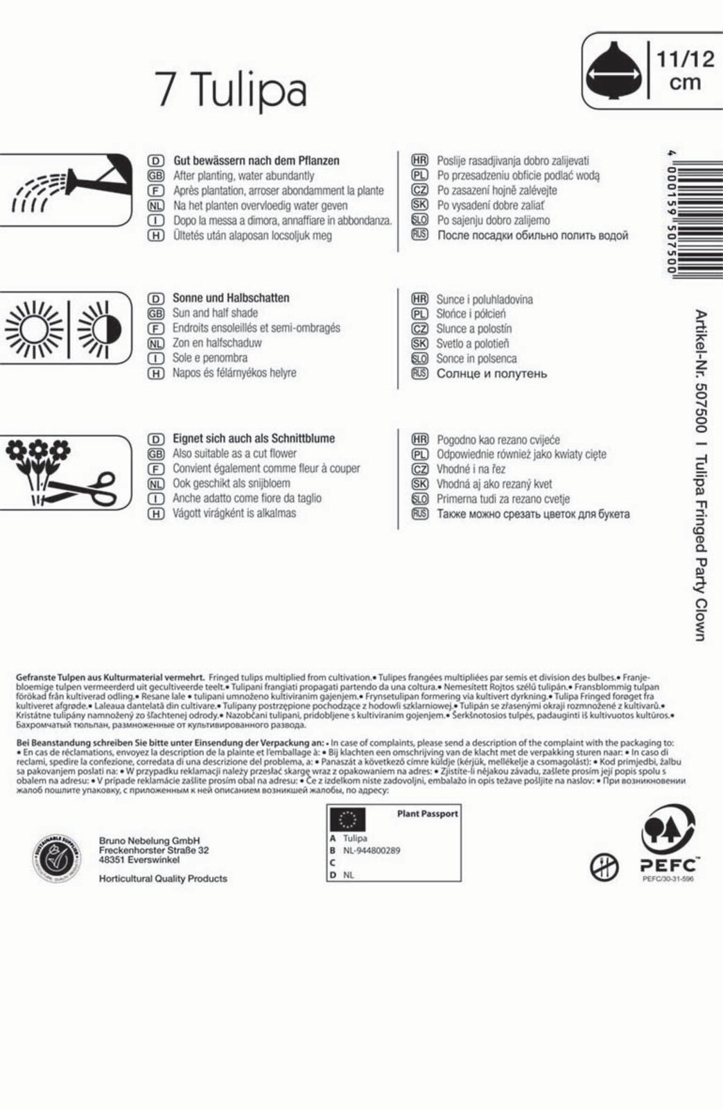 Žiarovka Tulip Party Clown 7 žiaroviek Kiepenkerl