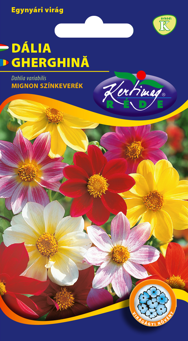 Georgína zmes farieb