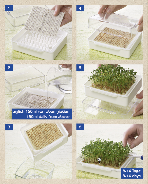 Mikrozöldség csíráztató készlet MicroGreen Garden Kiepenkerl