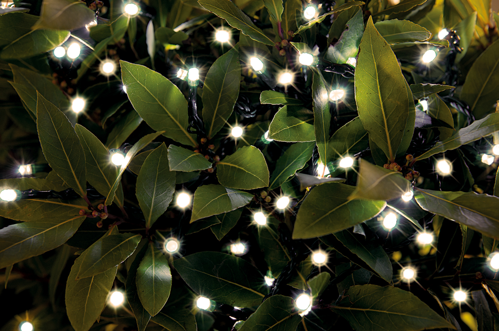 Svetelná girlanda Gardman, 50 Led, teplá biela 6,88 m