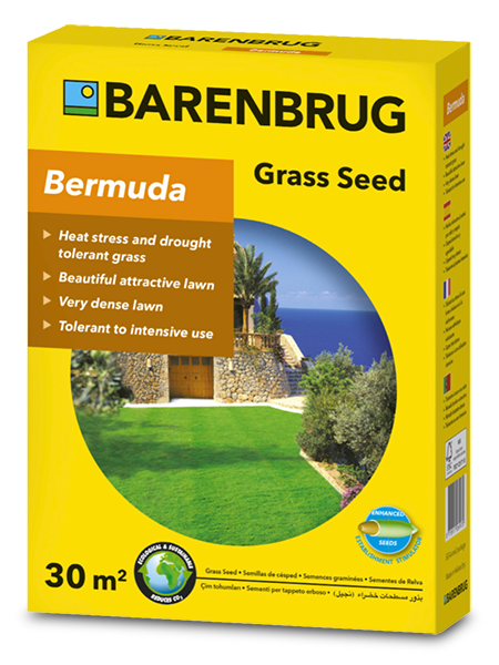 Star Grass PanAm (Bermuda) Barenbrug 0,5 kg