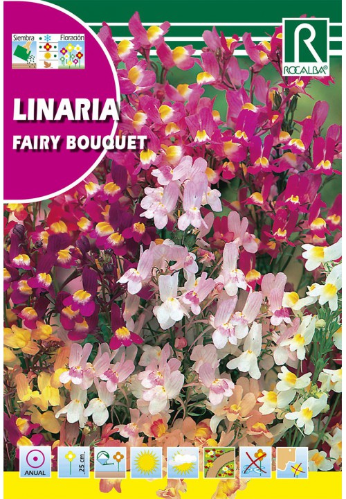 Gyújtoványfű Linaria Rocalba 2 g
