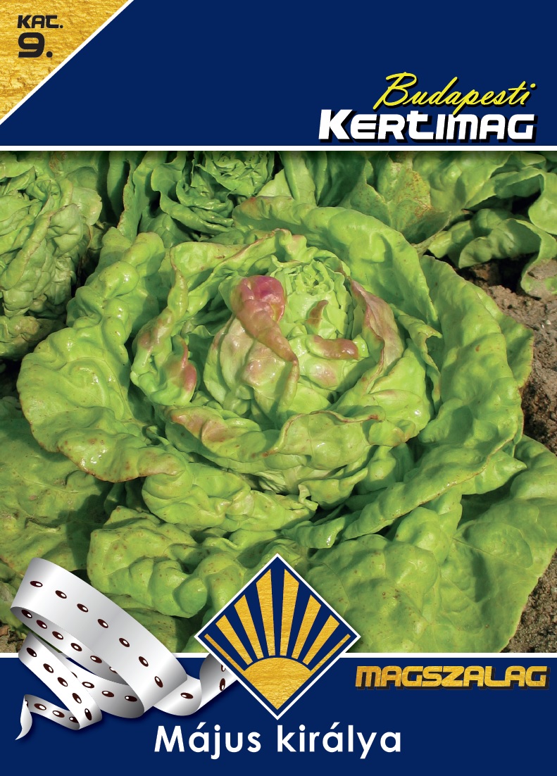 Výsevná páska Šalát Májový Kráľ BK 4 m