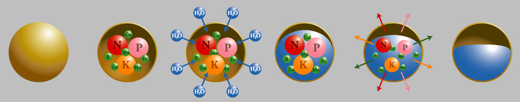 Agroblen 11+21+09+6MgO 25 kg 8-9 mes.